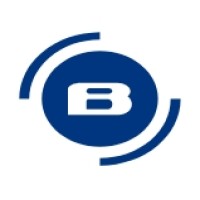 Blue Screen IT Solutions logo - Similar company to Evolution It Solution