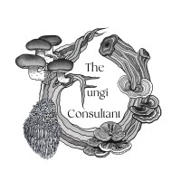 The Fungi Consultant logo - Similar company to Testeffect