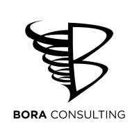Bora Consulting LLC logo - Similar company to The Iot Guide