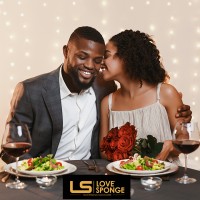 Love Sponge Matchmaking logo - Similar company to Ignite Dating Group