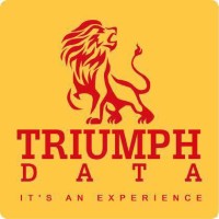 TriumphData Pvt Ltd logo - Similar company to Savant Infotech
