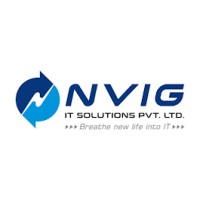 NVIG IT Solutions logo - Similar company to Nvigen Inc.