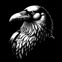 PEEKRAVEN logo - Similar company to Blastland