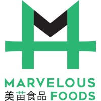 Marvelous Foods 美苗食品 logo - Similar company to Green Startups
