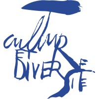 Fondation Culture & Diversité logo - Similar company to Championnat De France 🇫🇷 Des Sports Du Cerveau