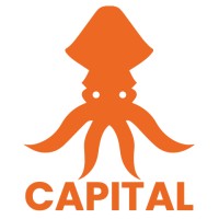 Squid Capital logo - Similar company to Aiic Group