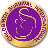 Childbirth Survival International (CSI) logo - Similar company to Maternity Today