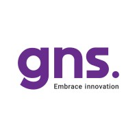 GulfNet Solutions Company Limited (GNS) logo - Similar company to Gulf Network Co