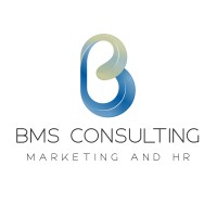 BMS Consulting logo - Similar company to Bms Consulting