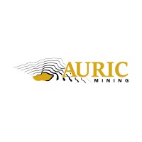 Auric Mining logo - Similar company to Auric Mining Limited (Asx:Awj)