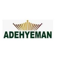 Adehyeman Savings and Loans Company Limited logo - Similar company to Lumen Analytics