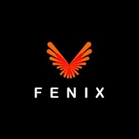 FENIX logo - Similar company to Mdzdigitalspace