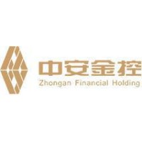 中安金控有限公司