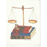 Law Firm Of Chuck Meyer, Pllc