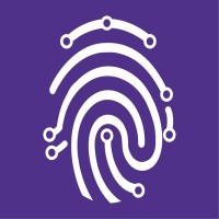 Experto logo - Similar company to Xperto