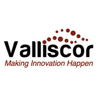 Valliscor logo - Similar company to Sky Palm Studios