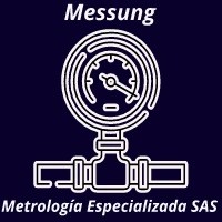 messung metrología especializada logo - Similar company to Insylux Cybersecurity