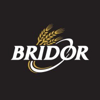 BRIDOR logo - Similar company to Mademoiselle Desserts