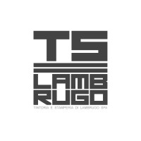 TINTORIA E STAMPERIA DI LAMBRUGO S.P.A. logo - Similar company to Teseo Spa