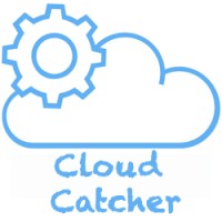 Cloud Catcher LLC logo - Similar company to Digidaas