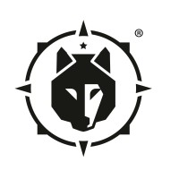 BlackWolf Consultants logo - Similar company to Black Wolf
