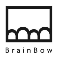 BrainBow Agency logo - Similar company to Media Boost