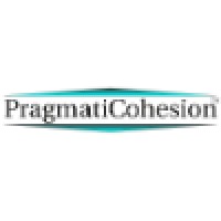 Pragmatic Cohesion Consulting, LLC