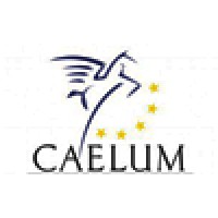 Caelum Music Production, LLC