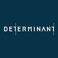 DETERMINANT logo - Similar company to Esquel Group