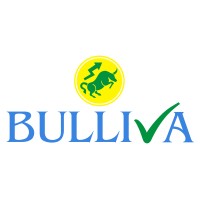 Bulliva logo - Similar company to Akg Wealth Planner