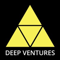 Deep Ventures logo - Similar company to Raven Protocol