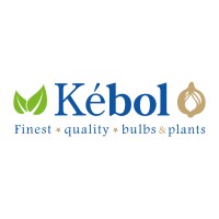 Kébol | Perennials & Flower bulbs logo - Similar company to Forever Bulbs