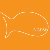 Big Fish logo - Similar company to Maja Systems