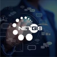Netgis logo - Similar company to Netgis