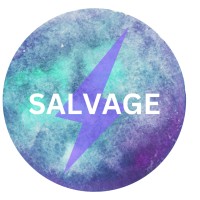 Salvage logo - Similar company to Imtuitive