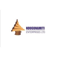 NDUGUNAMITI ENTERPRISES LIMITED logo - Similar company to Map&Rank