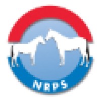 Nederlands Rijpaarden En Pony Stamboek