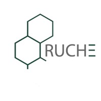 Ruche TechConsult Limited logo - Similar company to Young Women Code (Ywc)