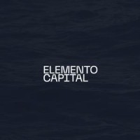 Elemento Capital logo - Similar company to Usa Remote