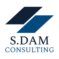 S. Dam Consulting logo - Similar company to Treksoftware
