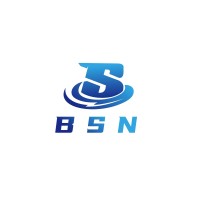 SUZHOU BSN MOTOR TECHNOLOGY CO.,LTD logo - Similar company to Aps Grupa Llc