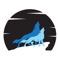 The Northern Wolves (Pty) Ltd logo - Similar company to Northern Wolves Inc