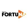 Fortuna Telecom logo - Similar company to 4Works Tecnologia E Inovação