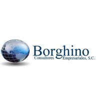 Borghino Consutores Empresariales, S.C.