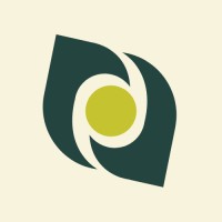 YourVisio Media Agency logo - Similar company to Digimind Design