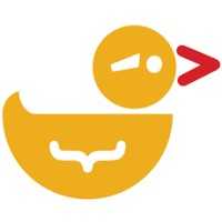Rubber Ducks NM logo - Similar company to Nm Fast