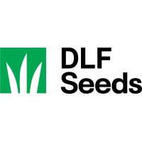 DLF Seeds Australia - Careers logo - Similar company to Midlands Seed