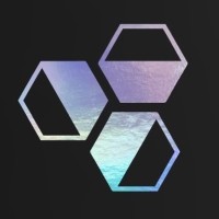 SanChip S.r.l logo - Similar company to Cibecco.Com