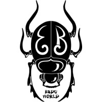 Badu World logo - Similar company to Musicle