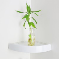 corner zig zag wall shelf china|Plastic Corner Shower Shelf manufacturer|Corner storage holder china logo - Similar company to Qingdao Guanyu Plastic Co., Ltd